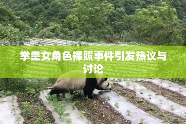拳皇女角色裸照事件引发热议与讨论