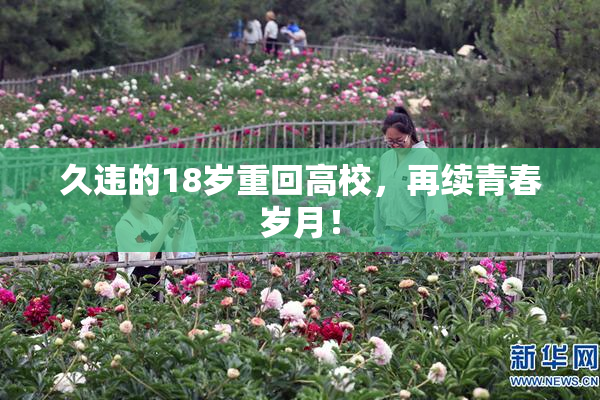 久违的18岁重回高校，再续青春岁月！