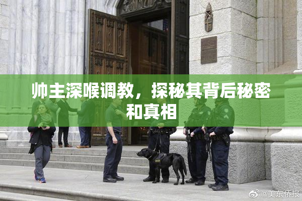 帅主深喉调教，探秘其背后秘密和真相