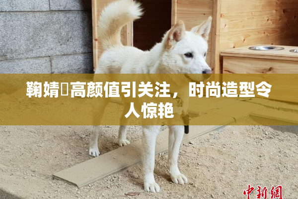 鞠婧祎高颜值引关注，时尚造型令人惊艳