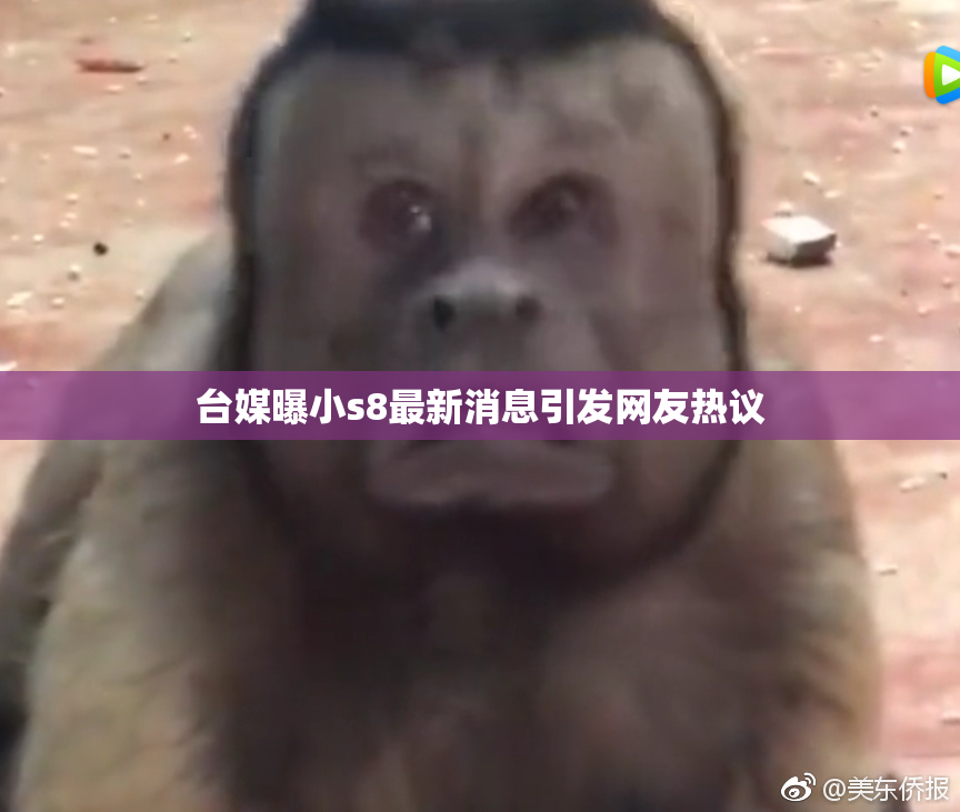 台媒曝小s8最新消息引发网友热议