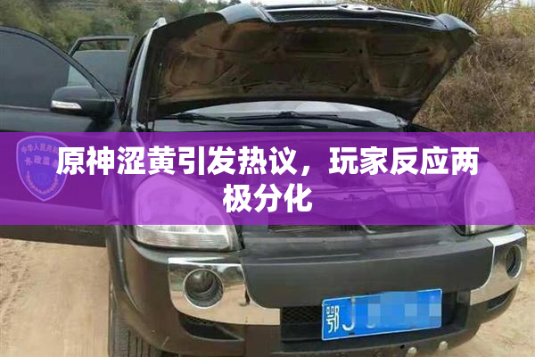 原神涩黄引发热议，玩家反应两极分化
