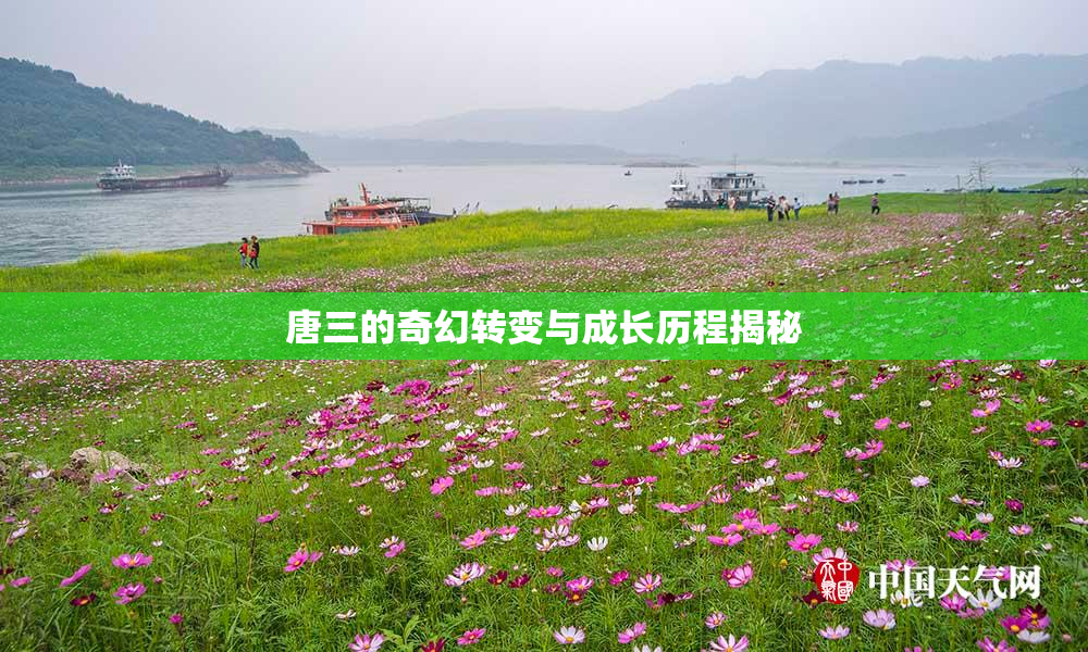 唐三的奇幻转变与成长历程揭秘