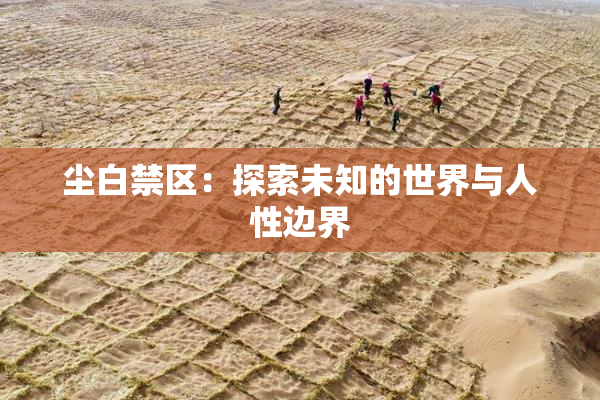 尘白禁区：探索未知的世界与人性边界