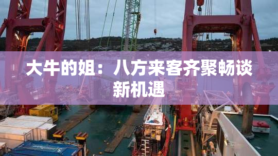 大牛的姐：八方来客齐聚畅谈新机遇