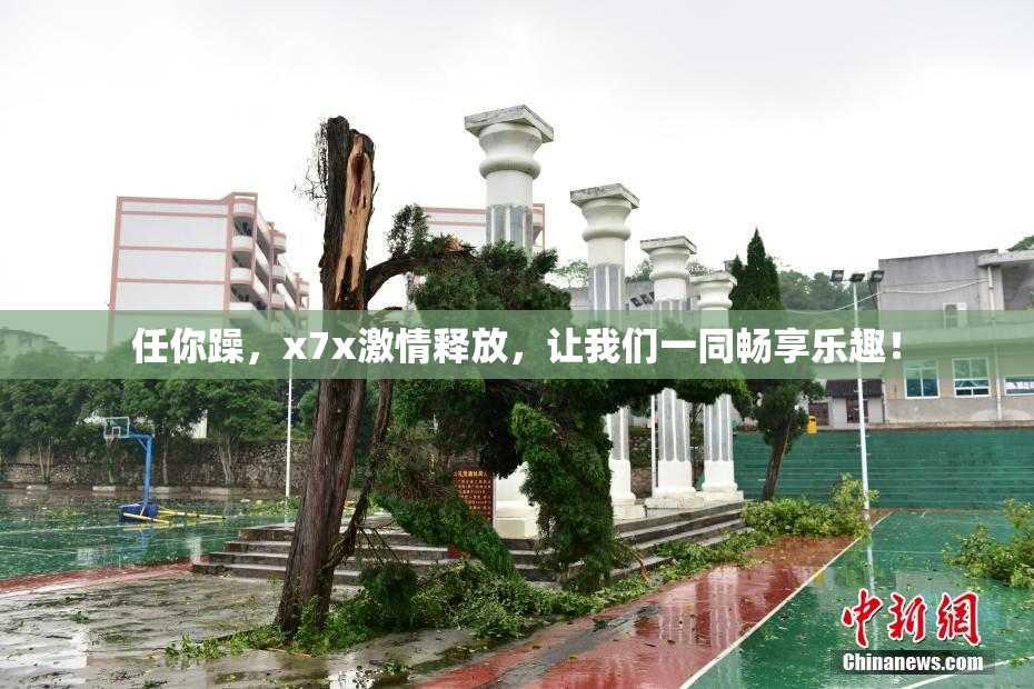 任你躁，x7x激情释放，让我们一同畅享乐趣！