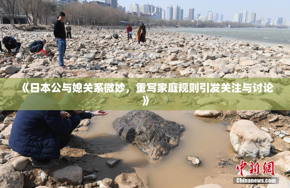 《日本公与媳关系微妙，重写家庭规则引发关注与讨论》