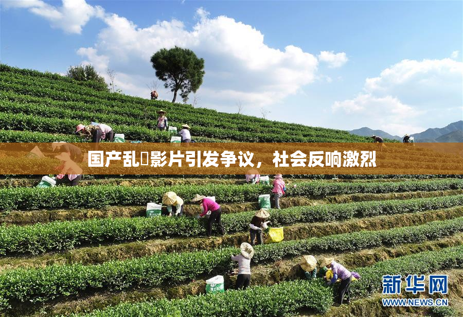 国产乱婬影片引发争议，社会反响激烈