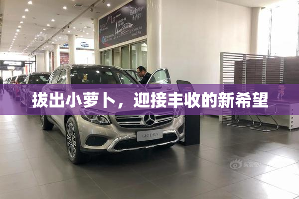 拔出小萝卜，迎接丰收的新希望