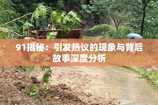 91揭秘：引发热议的现象与背后故事深度分析