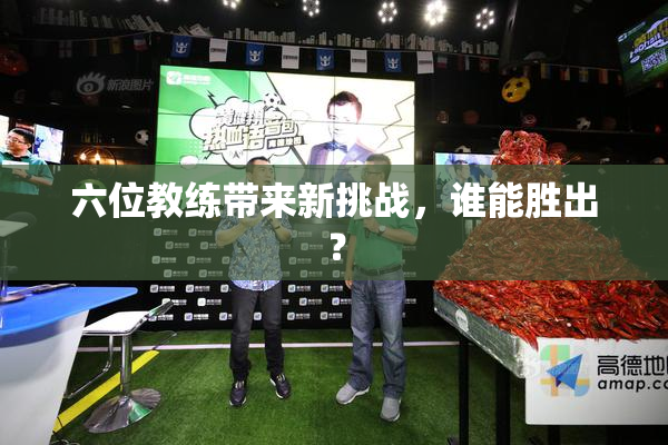 六位教练带来新挑战，谁能胜出？