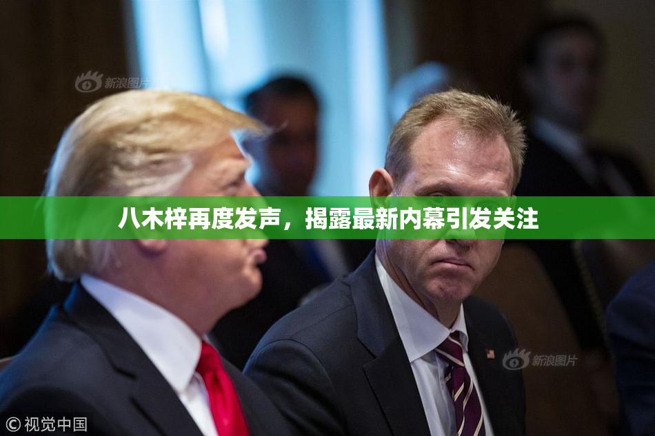 八木梓再度发声，揭露最新内幕引发关注