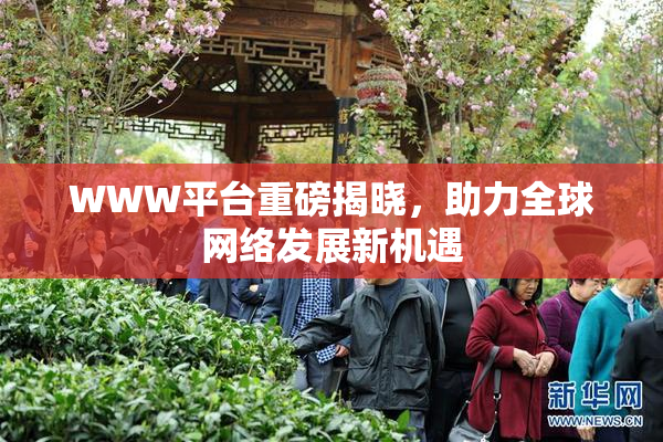 WWW平台重磅揭晓，助力全球网络发展新机遇