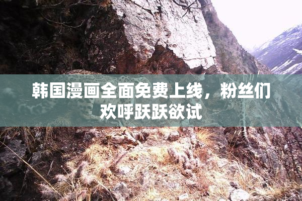 韩国漫画全面免费上线，粉丝们欢呼跃跃欲试