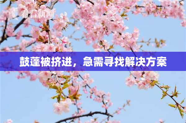 鼓蓬被挤进，急需寻找解决方案