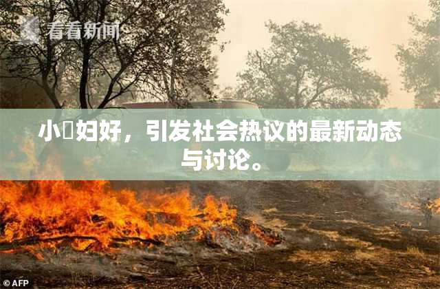 小婬妇好，引发社会热议的最新动态与讨论。