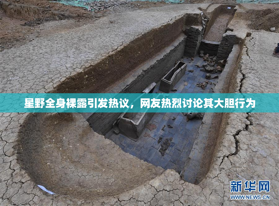 星野全身裸露引发热议，网友热烈讨论其大胆行为