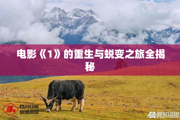 电影《1》的重生与蜕变之旅全揭秘