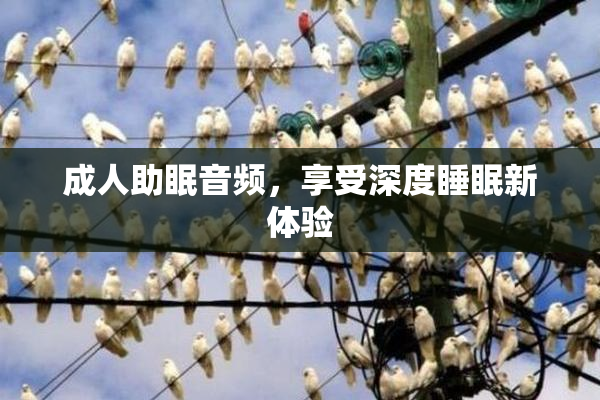 成人助眠音频，享受深度睡眠新体验