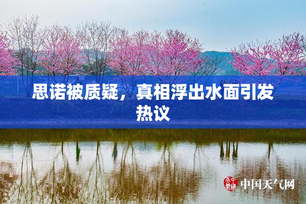 思诺被质疑，真相浮出水面引发热议