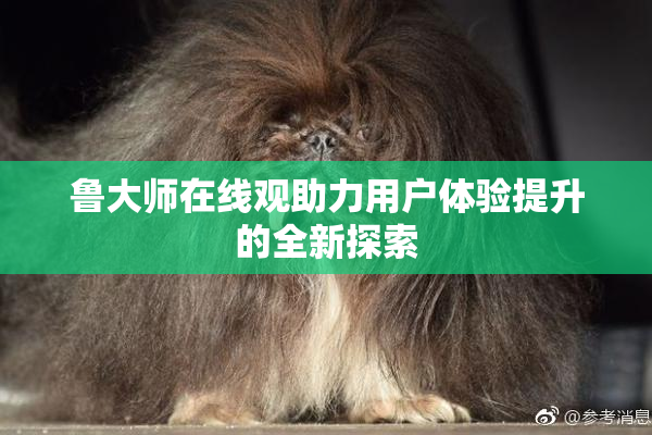 鲁大师在线观助力用户体验提升的全新探索