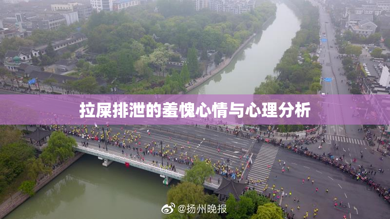 拉屎排泄的羞愧心情与心理分析