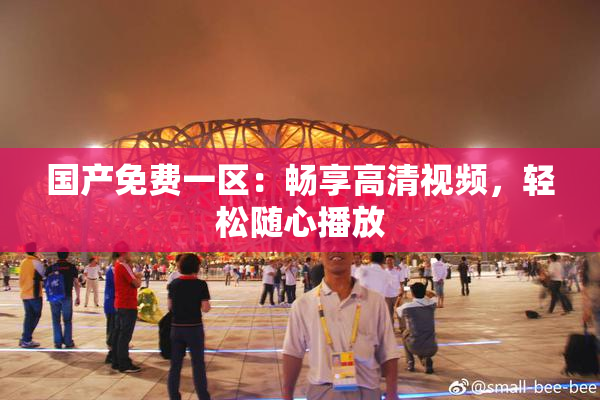 国产免费一区：畅享高清视频，轻松随心播放