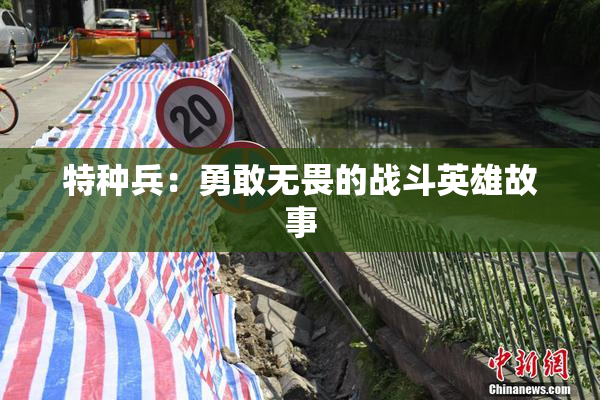 特种兵：勇敢无畏的战斗英雄故事