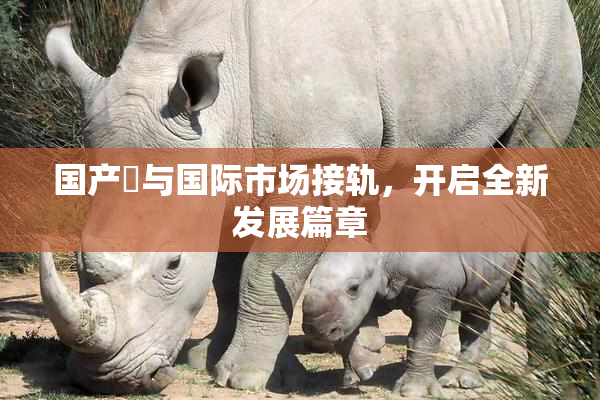 国产梱与国际市场接轨，开启全新发展篇章