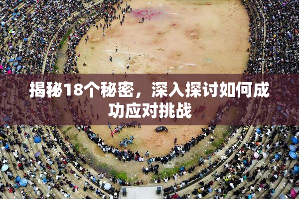 揭秘18个秘密，深入探讨如何成功应对挑战