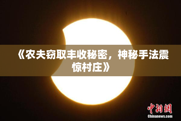 《农夫窃取丰收秘密，神秘手法震惊村庄》