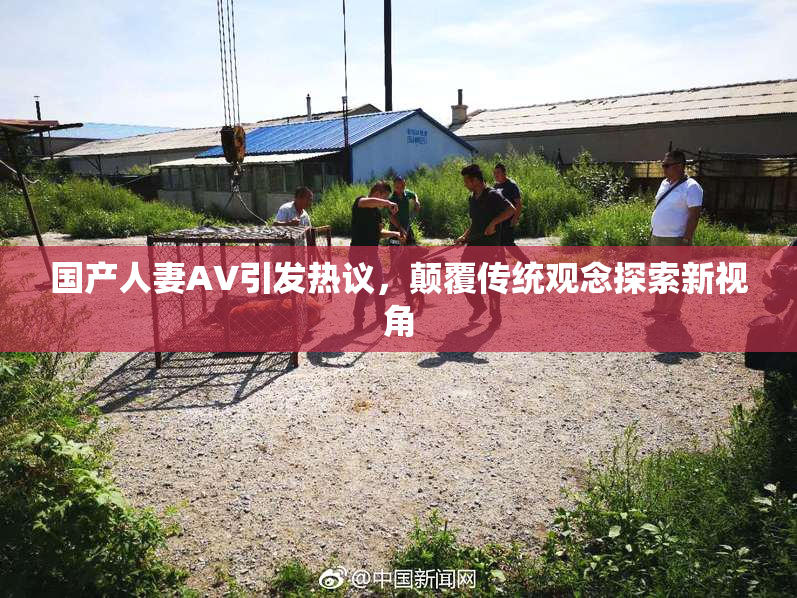 国产人妻AV引发热议，颠覆传统观念探索新视角