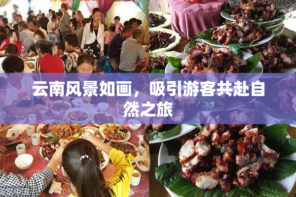 云南风景如画，吸引游客共赴自然之旅