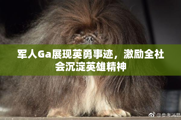 军人Ga展现英勇事迹，激励全社会沉淀英雄精神