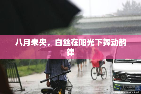 八月未央，白丝在阳光下舞动韵律