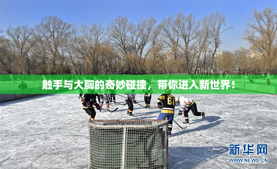 触手与大胸的奇妙碰撞，带你进入新世界！