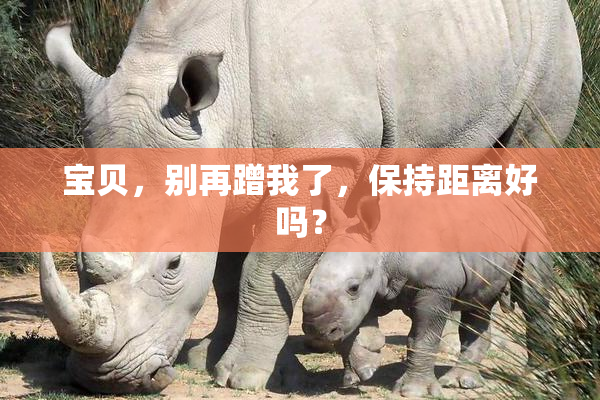宝贝，别再蹭我了，保持距离好吗？