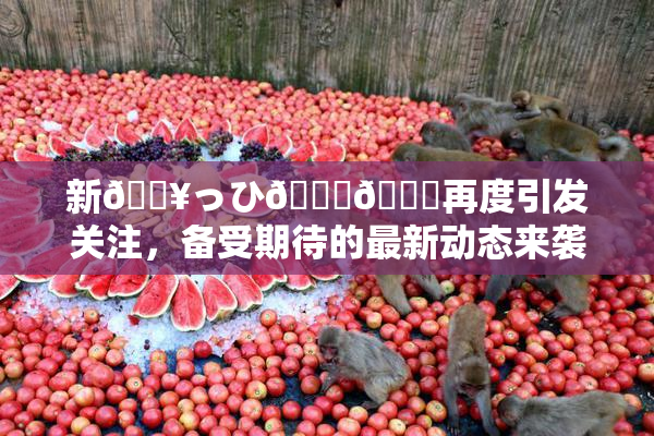 新🔥っひ🍑🍑再度引发关注，备受期待的最新动态来袭！