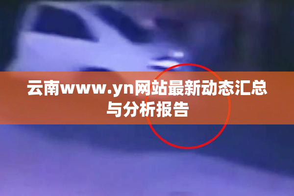 云南www.yn网站最新动态汇总与分析报告
