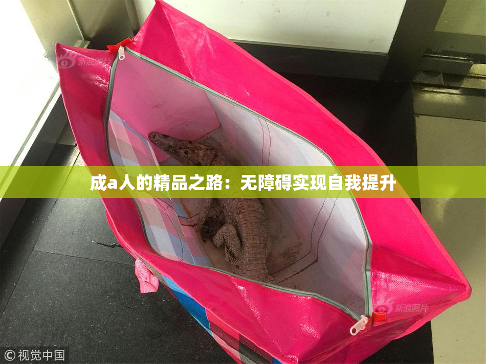 成a人的精品之路：无障碍实现自我提升