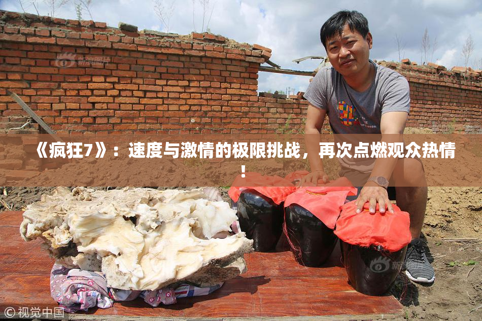 《疯狂7》：速度与激情的极限挑战，再次点燃观众热情！