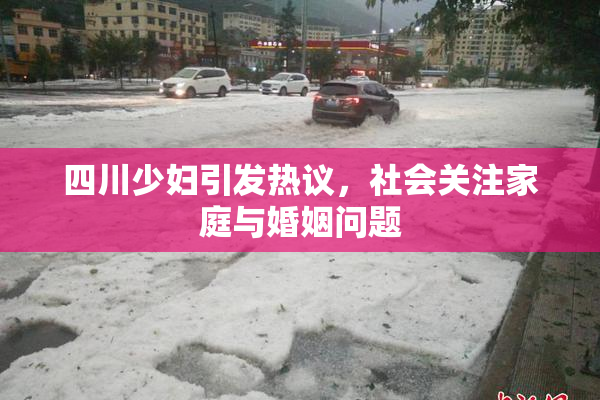 四川少妇引发热议，社会关注家庭与婚姻问题