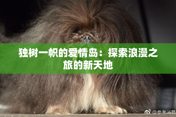 独树一帜的爱情岛：探索浪漫之旅的新天地