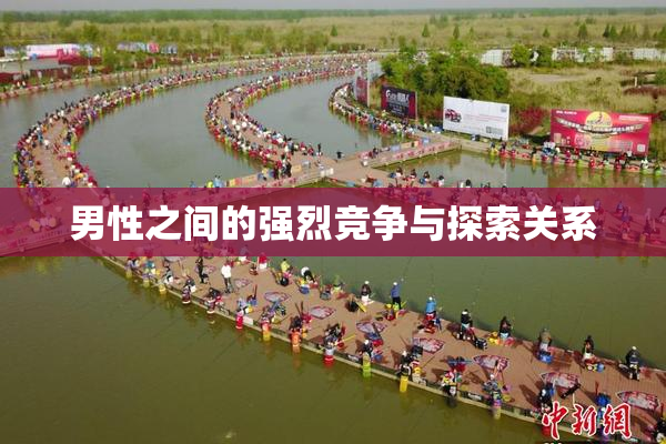 男性之间的强烈竞争与探索关系