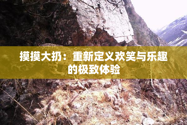 摸摸大扔：重新定义欢笑与乐趣的极致体验