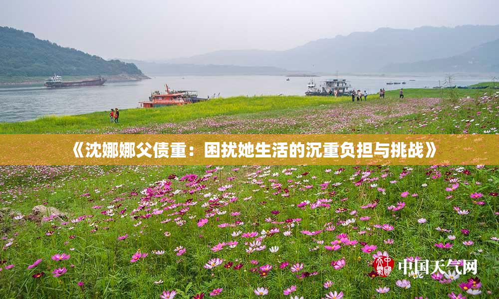 《沈娜娜父债重：困扰她生活的沉重负担与挑战》