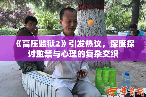 《高压监狱2》引发热议，深度探讨监禁与心理的复杂交织