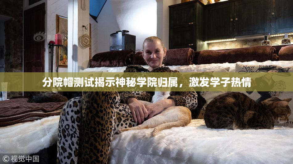 分院帽测试揭示神秘学院归属，激发学子热情
