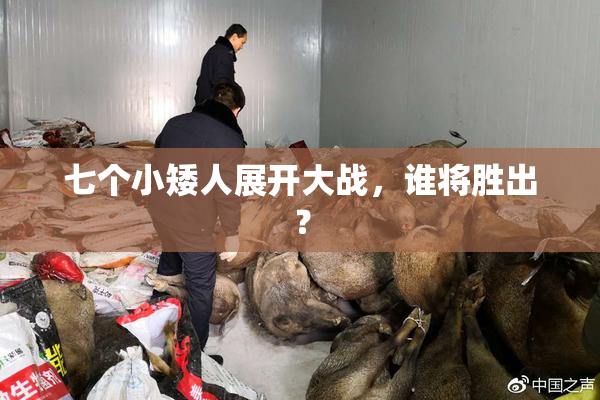 七个小矮人展开大战，谁将胜出？
