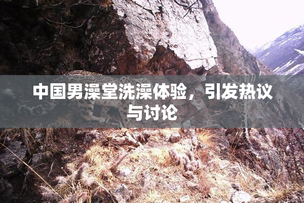 中国男澡堂洗澡体验，引发热议与讨论